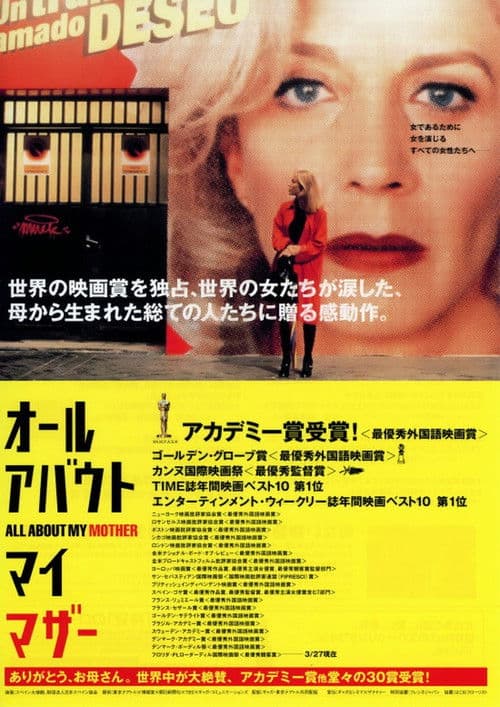 地中海の情熱と歴史の深淵へ導く至高の傑作5選|『オール・アバウト・マイ・マザー』が描く魂の旅路